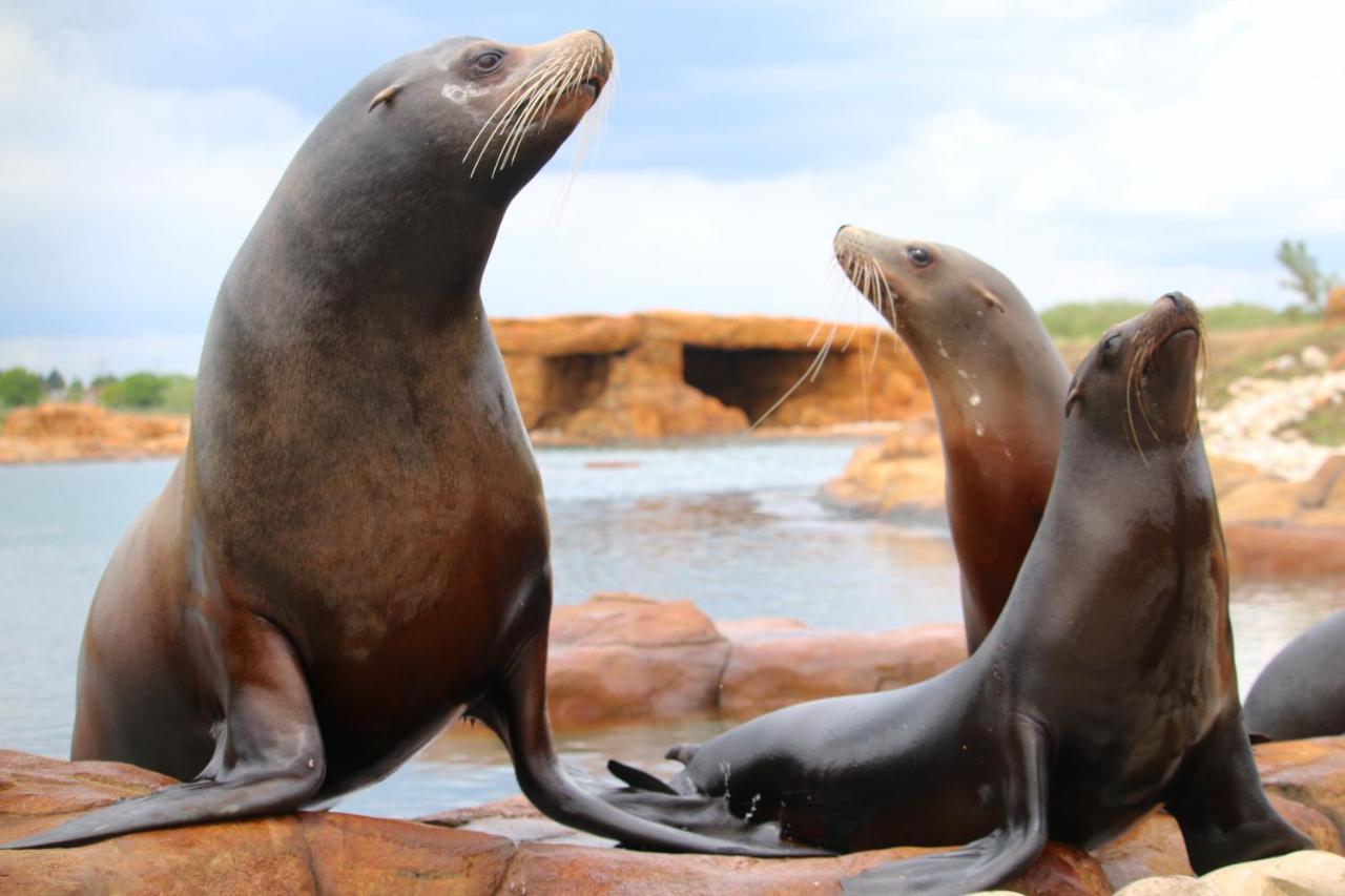 Hex Wildlife At Yorkshire Wildlife Park Hotel *